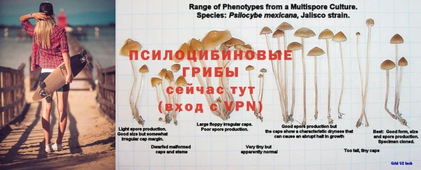 кристаллы Володарск